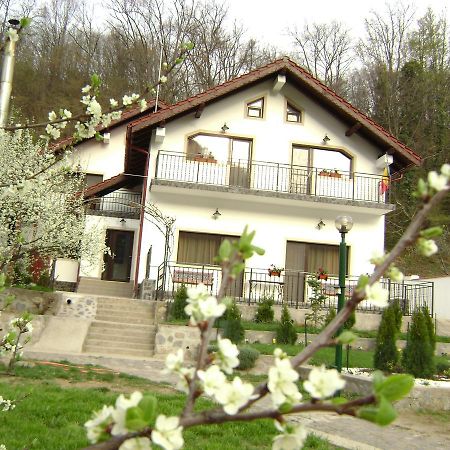 Pension Casa Natura Băile Herculane Esterno foto