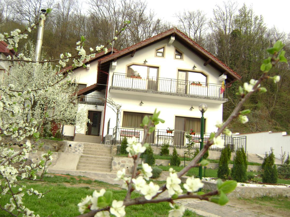 Pension Casa Natura Băile Herculane Esterno foto