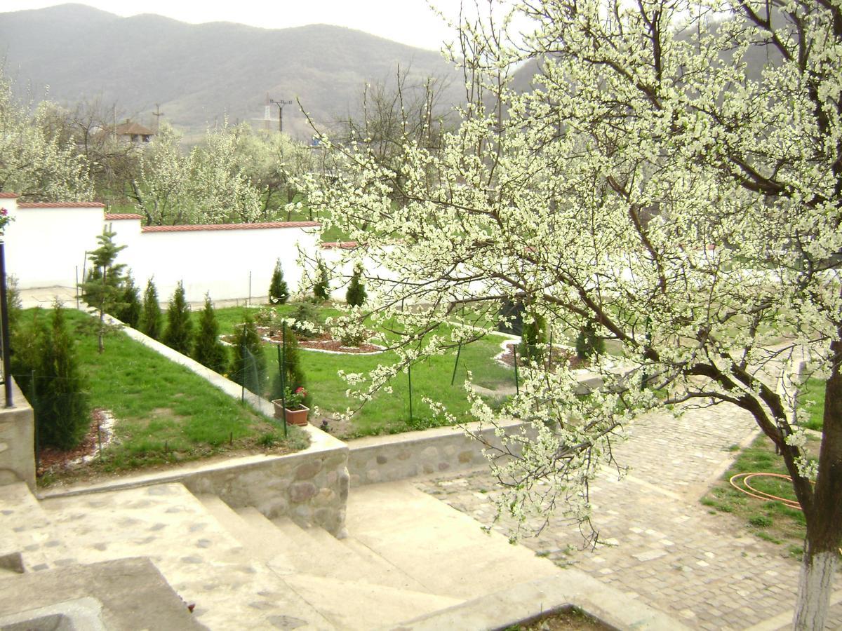 Pension Casa Natura Băile Herculane Esterno foto