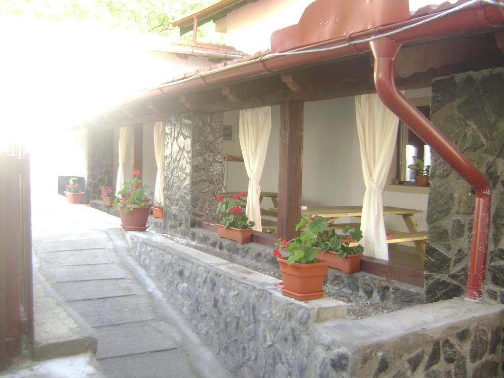 Pension Casa Natura Băile Herculane Esterno foto