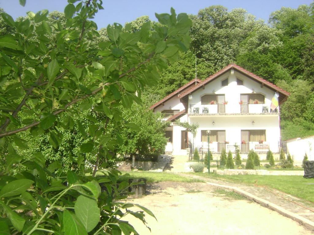 Pension Casa Natura Băile Herculane Esterno foto