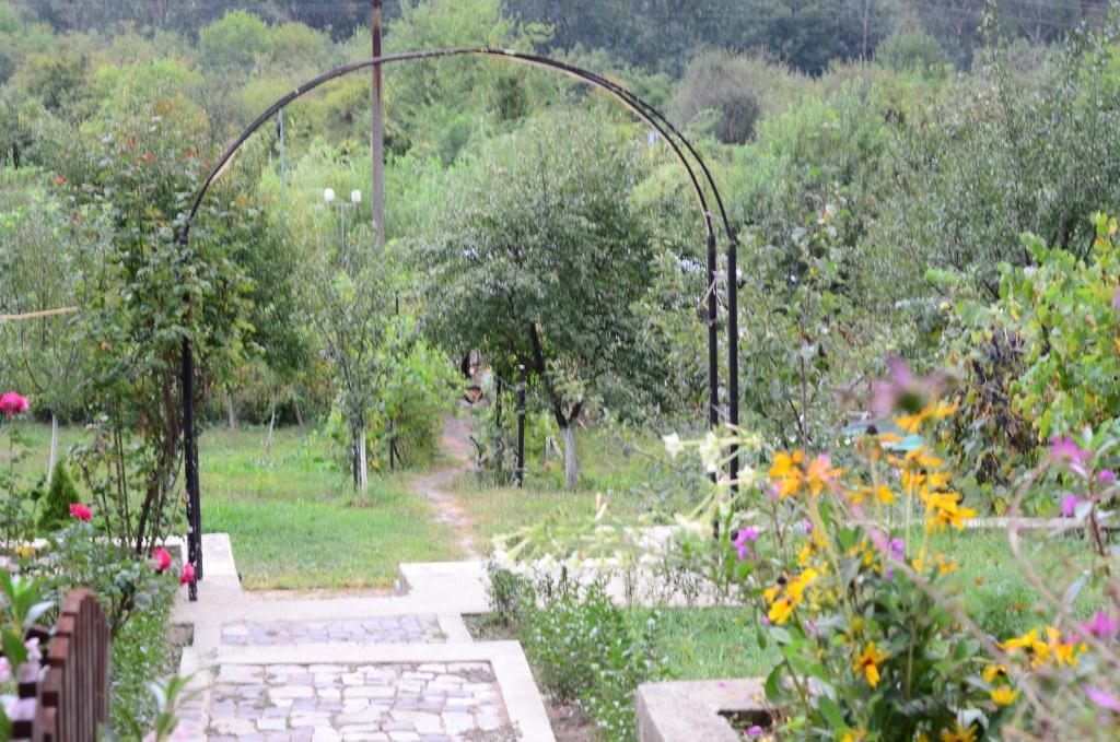 Pension Casa Natura Băile Herculane Esterno foto
