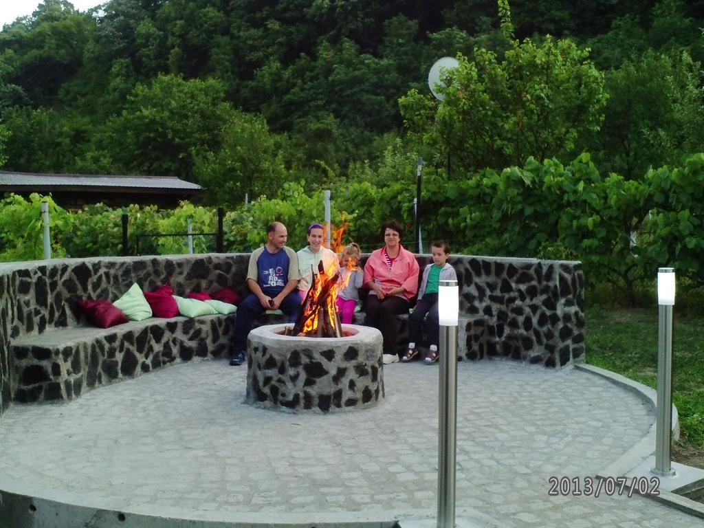 Pension Casa Natura Băile Herculane Esterno foto