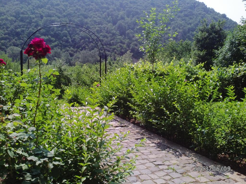 Pension Casa Natura Băile Herculane Esterno foto