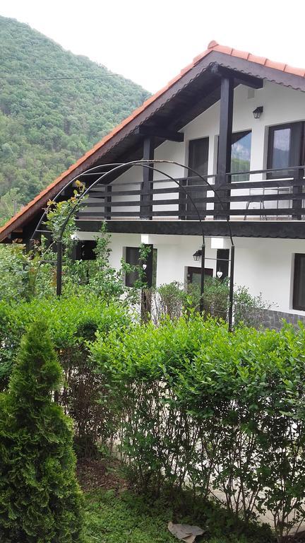 Pension Casa Natura Băile Herculane Esterno foto