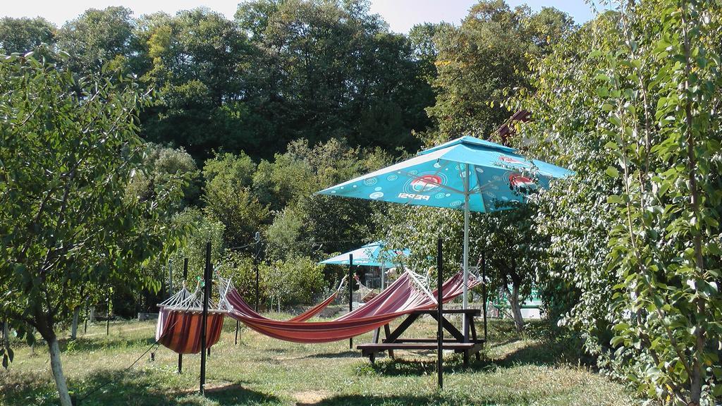 Pension Casa Natura Băile Herculane Esterno foto