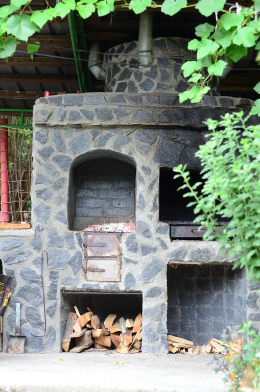 Pension Casa Natura Băile Herculane Esterno foto